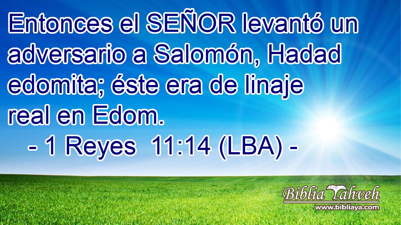 Entonces el SEÑOR levantó un adversario a Salomón, Hadad edomita; éste era de linaje real en Edom.