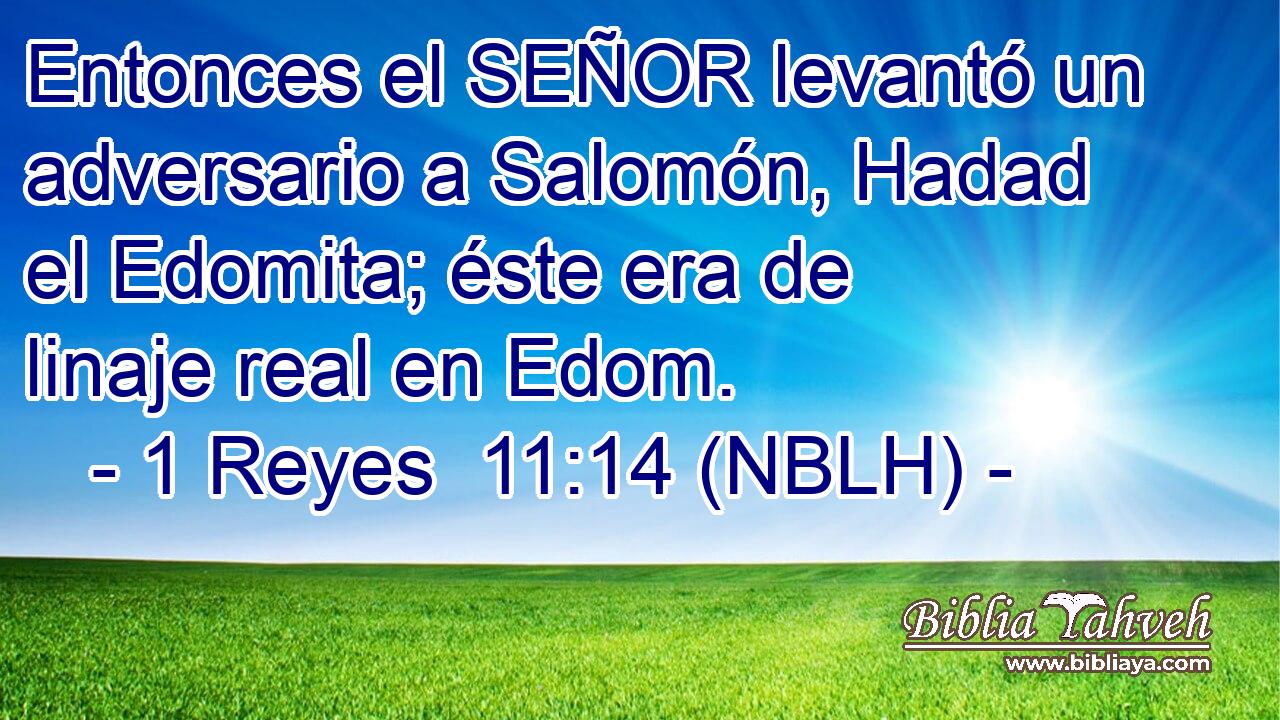  Entonces el SEÑOR levantó un adversario a Salomón, Hadad el Edomita; éste era de linaje real en Edom. 
