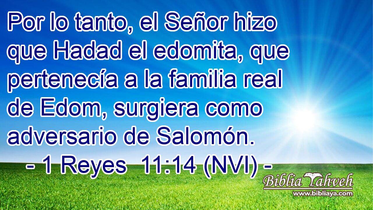  Por lo tanto, el Señor hizo que Hadad el edomita, que pertenecía a la familia real de Edom, surgiera como adversario de Salomón. 