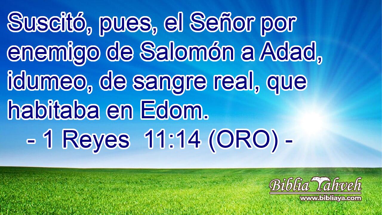  Suscitó, pues, el Señor por enemigo de Salomón a Adad, idumeo, de sangre real, que habitaba en Edom. 
