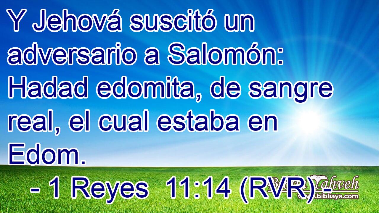 Y Jehová suscitó un adversario a Salomón: Hadad edomita, de sangre real, el cual estaba en Edom.