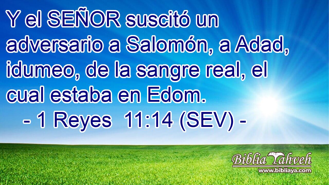 Y el SEÑOR suscitó un adversario a Salomón, a Adad, idumeo, de la sangre real, el cual estaba en Edom.