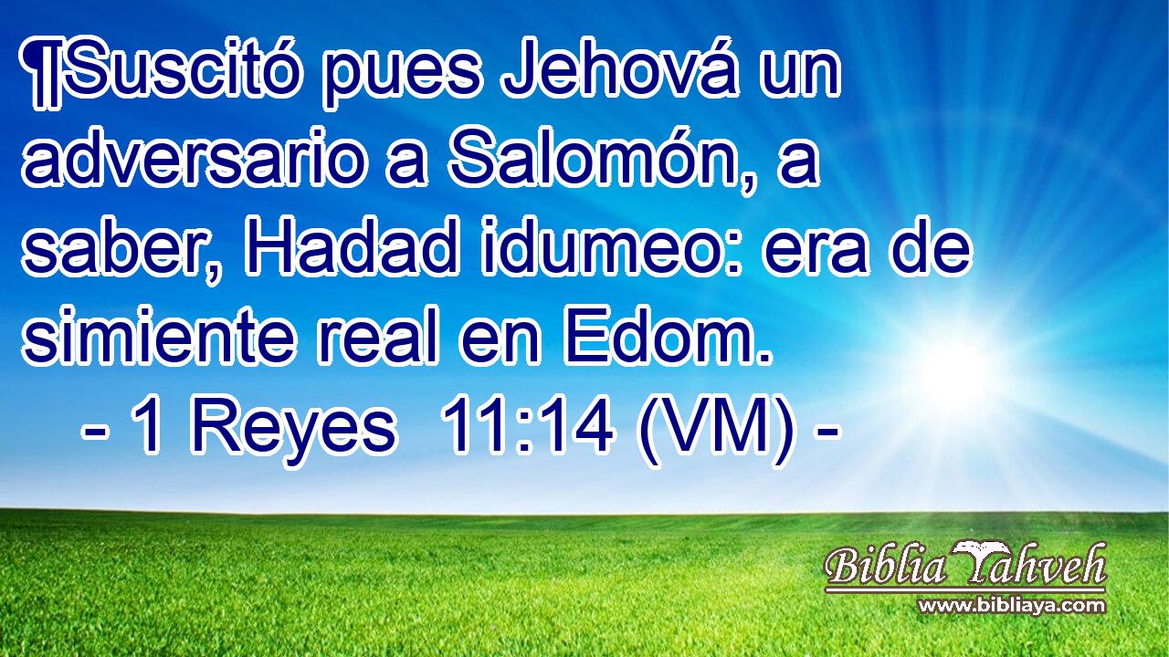  ¶Suscitó pues Jehová un adversario a Salomón, a saber, Hadad idumeo: era de simiente real en Edom. 