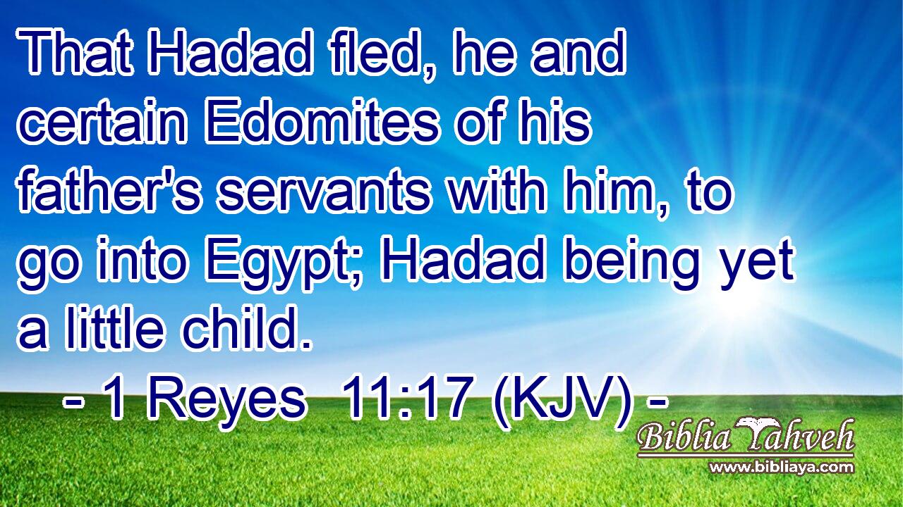 That Hadad fled, he and certain Edomites of his father's servants with him, to go into Egypt; Hadad being yet a little child.