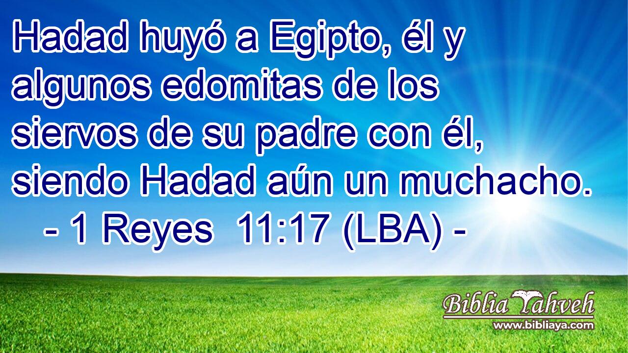 Hadad huyó a Egipto, él y algunos edomitas de los siervos de su padre con él, siendo Hadad aún un muchacho.