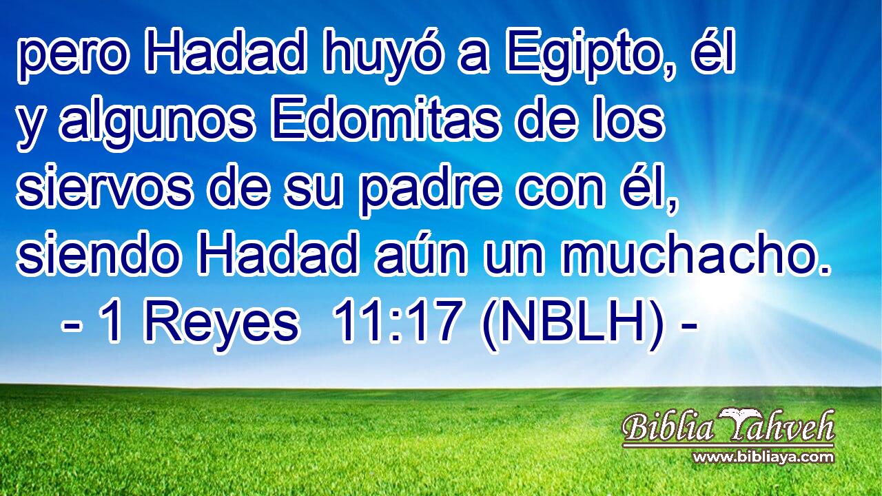  pero Hadad huyó a Egipto, él y algunos Edomitas de los siervos de su padre con él, siendo Hadad aún un muchacho. 