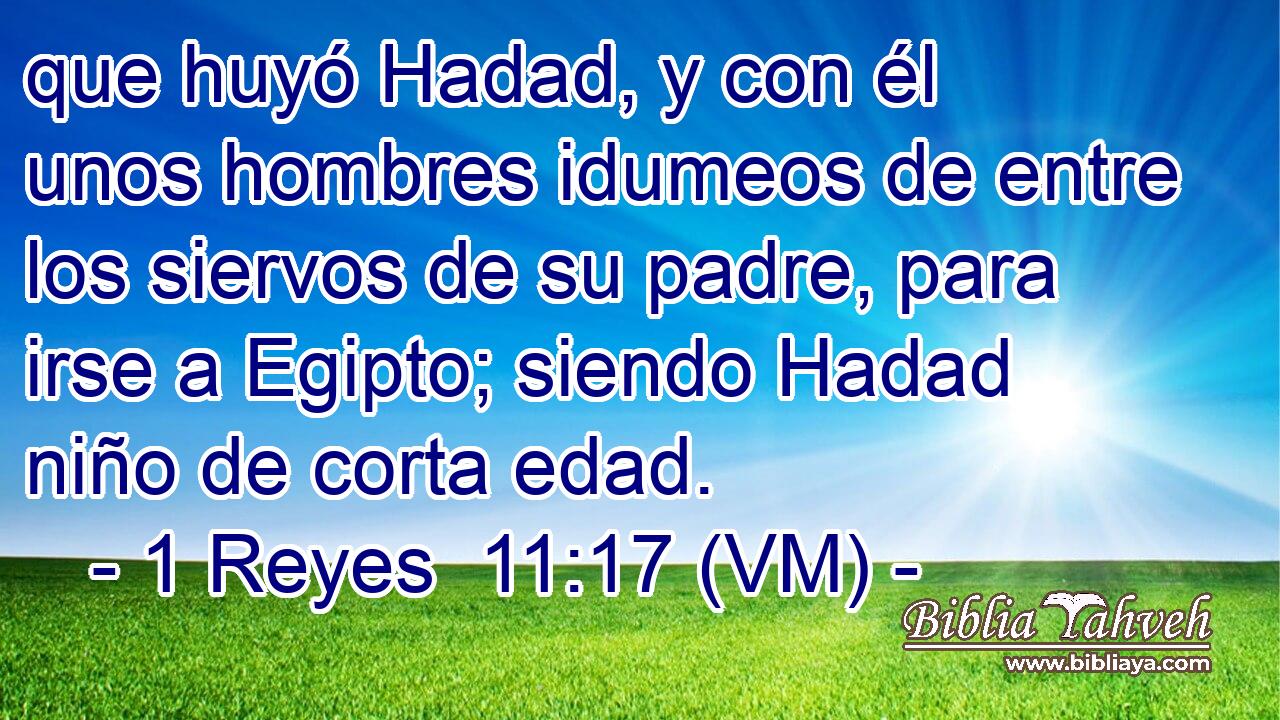  que huyó Hadad, y con él unos hombres idumeos de entre los siervos de su padre, para irse a Egipto; siendo Hadad niño de corta edad. 