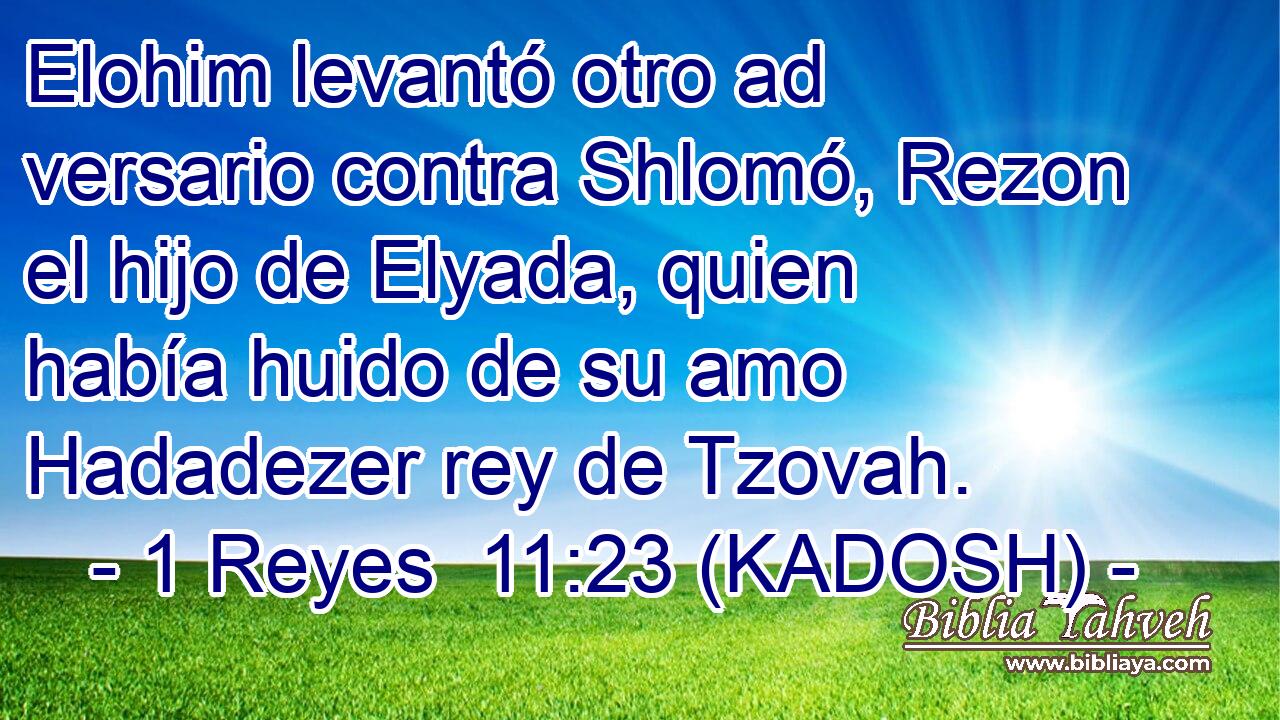  Elohim levantó otro ad versario contra Shlomó, Rezon el hijo de Elyada, quien había huido de su amo Hadadezer rey de Tzovah. 
