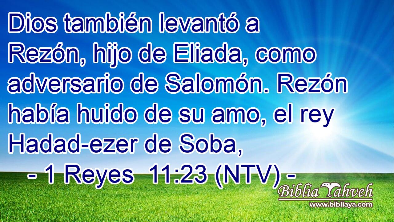 Dios también levantó a Rezón, hijo de Eliada, como adversario de Salomón. Rezón había huido de su amo, el rey Hadad-ezer de Soba,