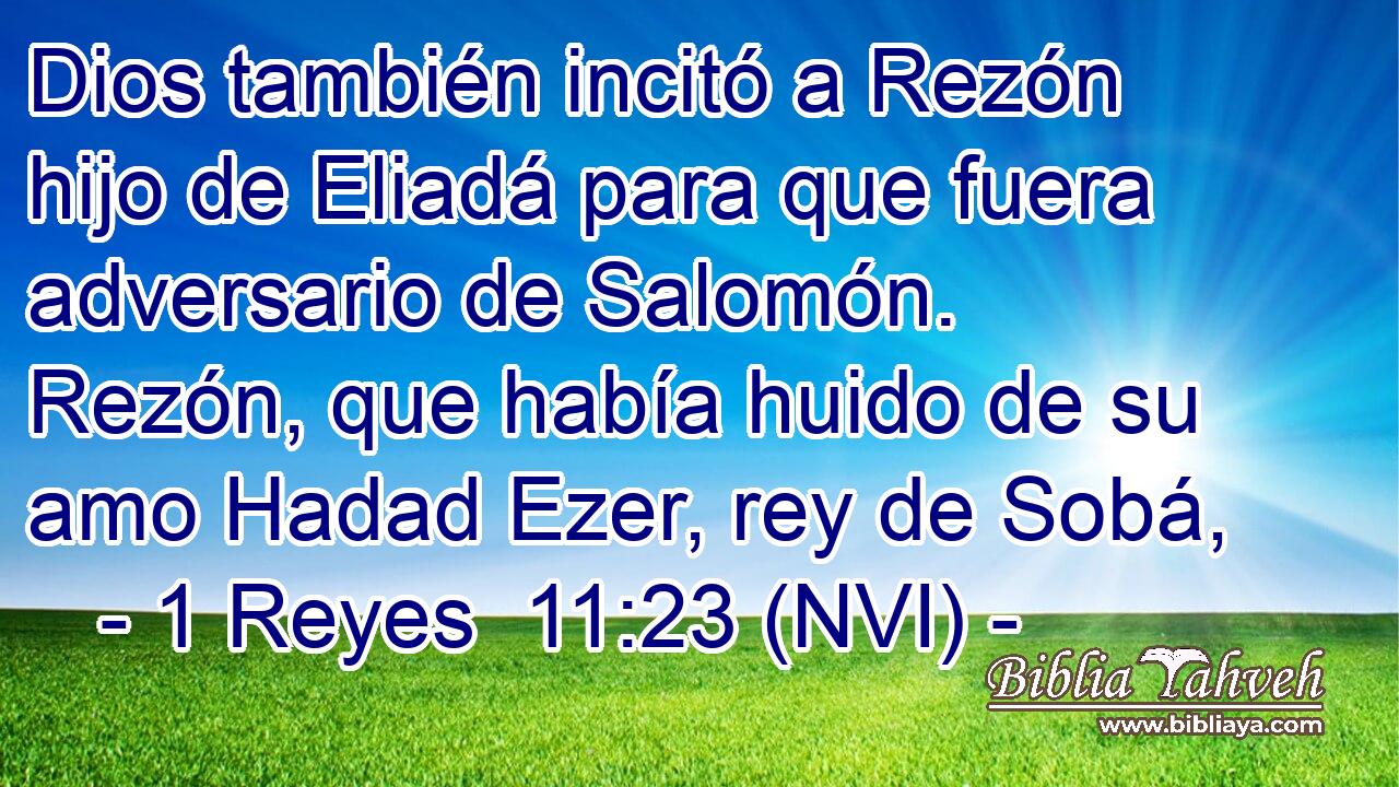 Dios también incitó a Rezón hijo de Eliadá para que fuera adversario de Salomón. Rezón, que había huido de su amo Hadad Ezer, rey de Sobá, 
