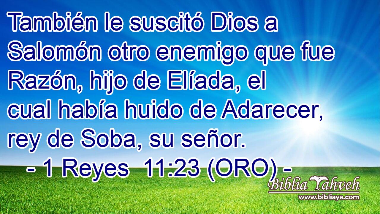  También le suscitó Dios a Salomón otro enemigo que fue Razón, hijo de Elíada, el cual había huido de Adarecer, rey de Soba, su señor. 