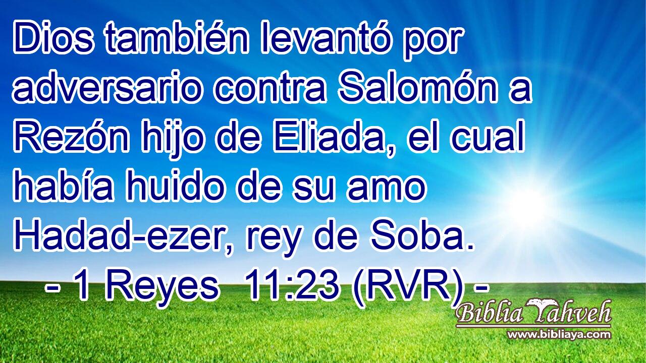 Dios también levantó por adversario contra Salomón a Rezón hijo de Eliada, el cual había huido de su amo Hadad-ezer, rey de Soba.