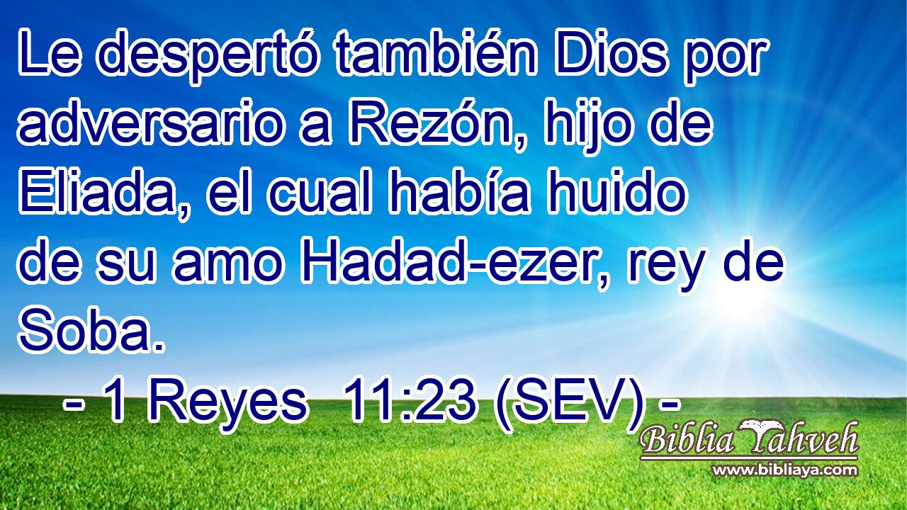 Le despertó también Dios por adversario a Rezón, hijo de Eliada, el cual había huido de su amo Hadad-ezer, rey de Soba.