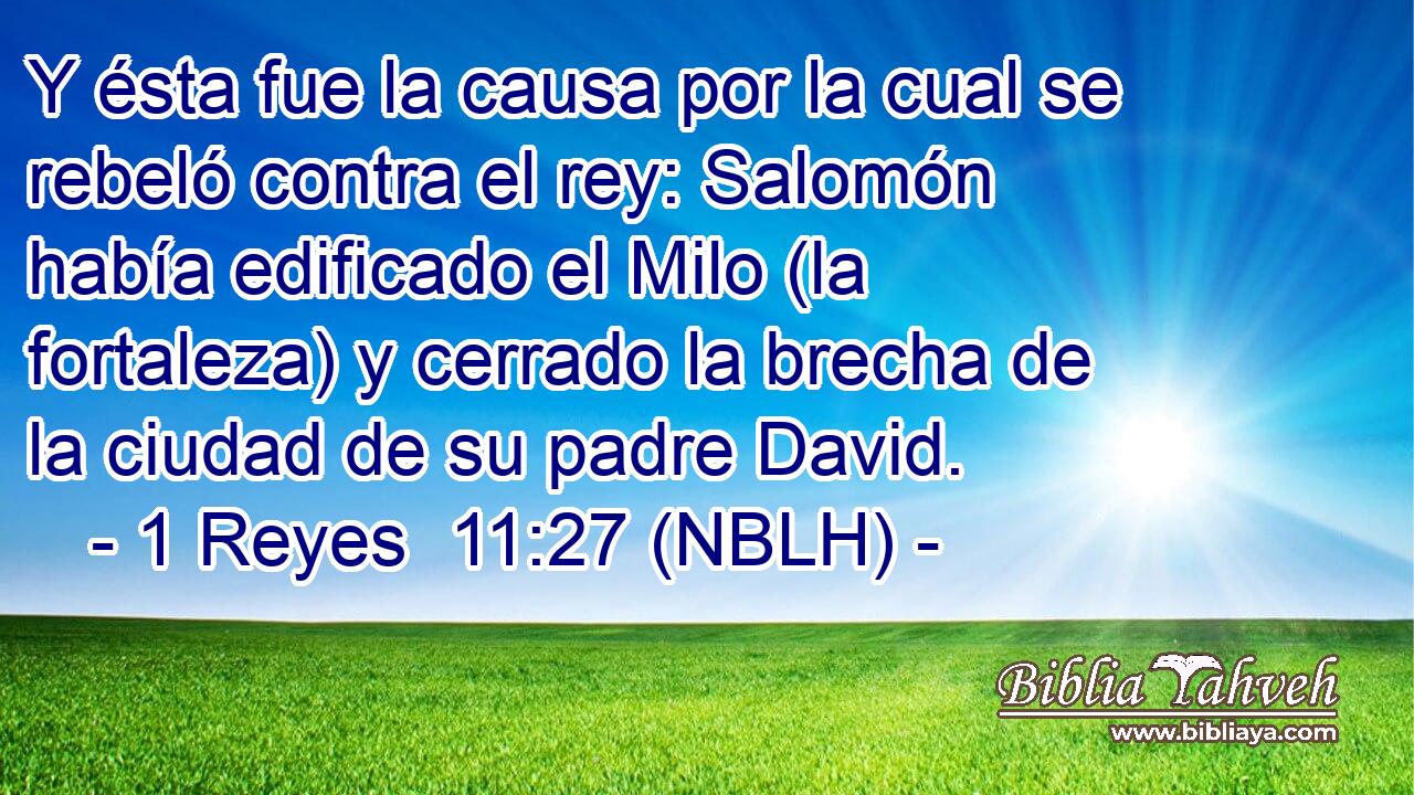  Y ésta fue la causa por la cual se rebeló contra el rey: Salomón había edificado el Milo (la fortaleza) y cerrado la brecha de la ciudad de su padre David. 