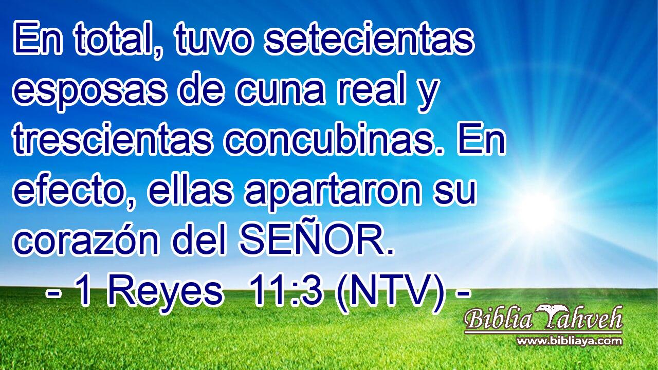 En total, tuvo setecientas esposas de cuna real y trescientas concubinas. En efecto, ellas apartaron su corazón del SEÑOR.