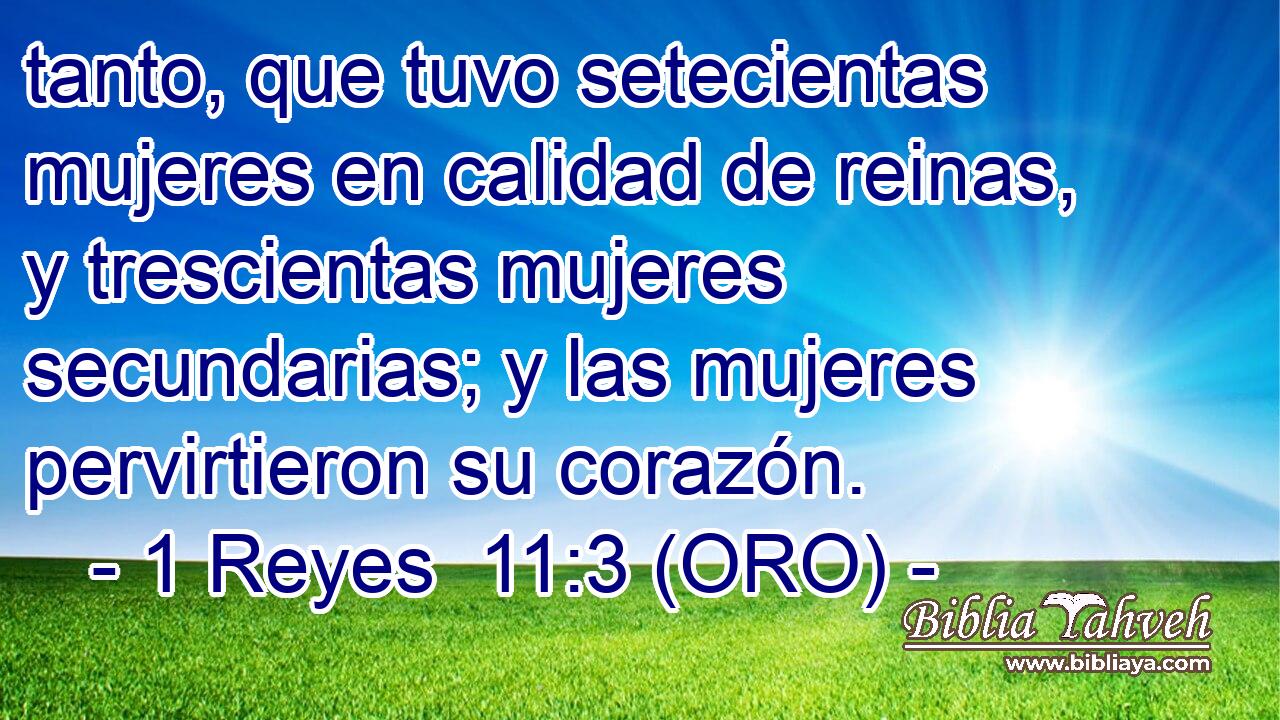  tanto, que tuvo setecientas mujeres en calidad de reinas, y trescientas mujeres secundarias; y las mujeres pervirtieron su corazón. 