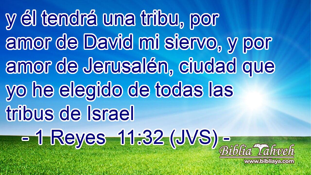 y él tendrá una tribu, por amor de David mi siervo, y por amor de Jerusalén, ciudad que yo he elegido de todas las tribus de Israel
