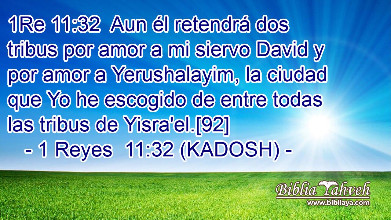  Aun él retendrá dos tribus por amor a mi siervo David y por amor a Yerushalayim, la ciudad que Yo he escogido de entre todas las tribus de Yisra'el.[92] 