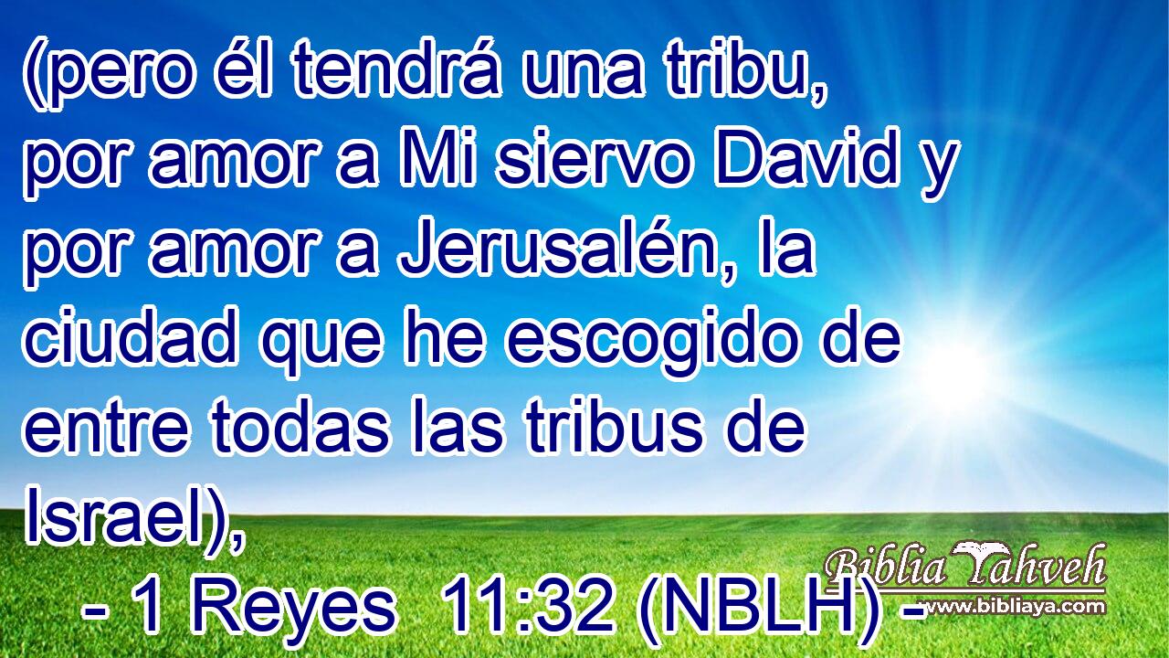  (pero él tendrá una tribu, por amor a Mi siervo David y por amor a Jerusalén, la ciudad que he escogido de entre todas las tribus de Israel), 