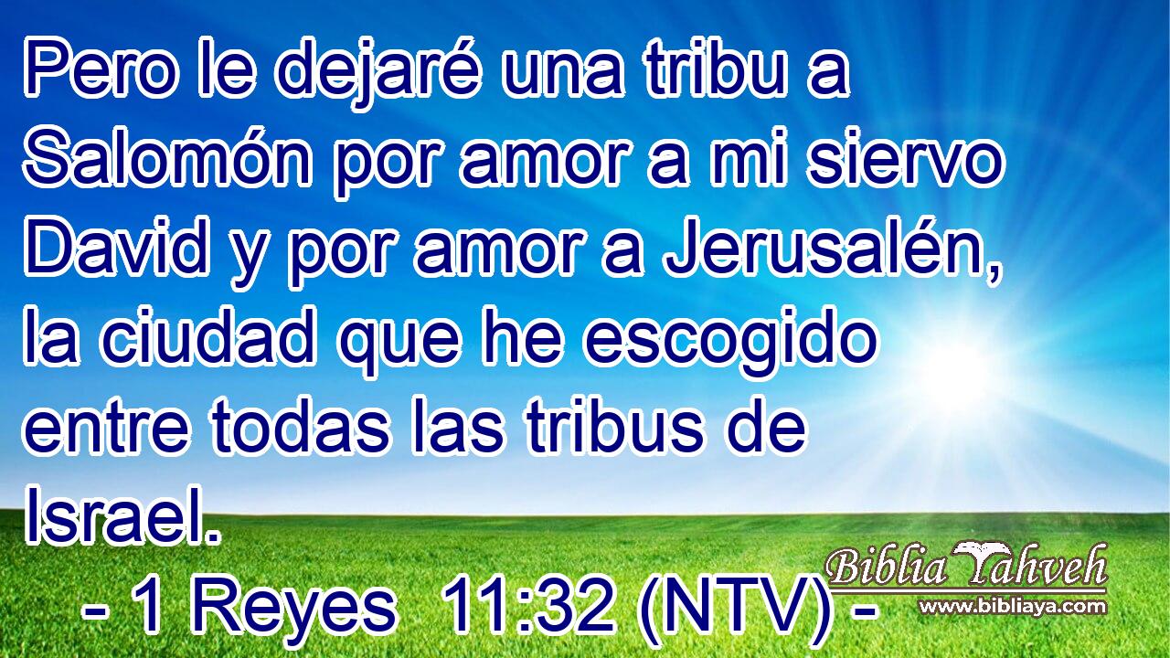 Pero le dejaré una tribu a Salomón por amor a mi siervo David y por amor a Jerusalén, la ciudad que he escogido entre todas las tribus de Israel.