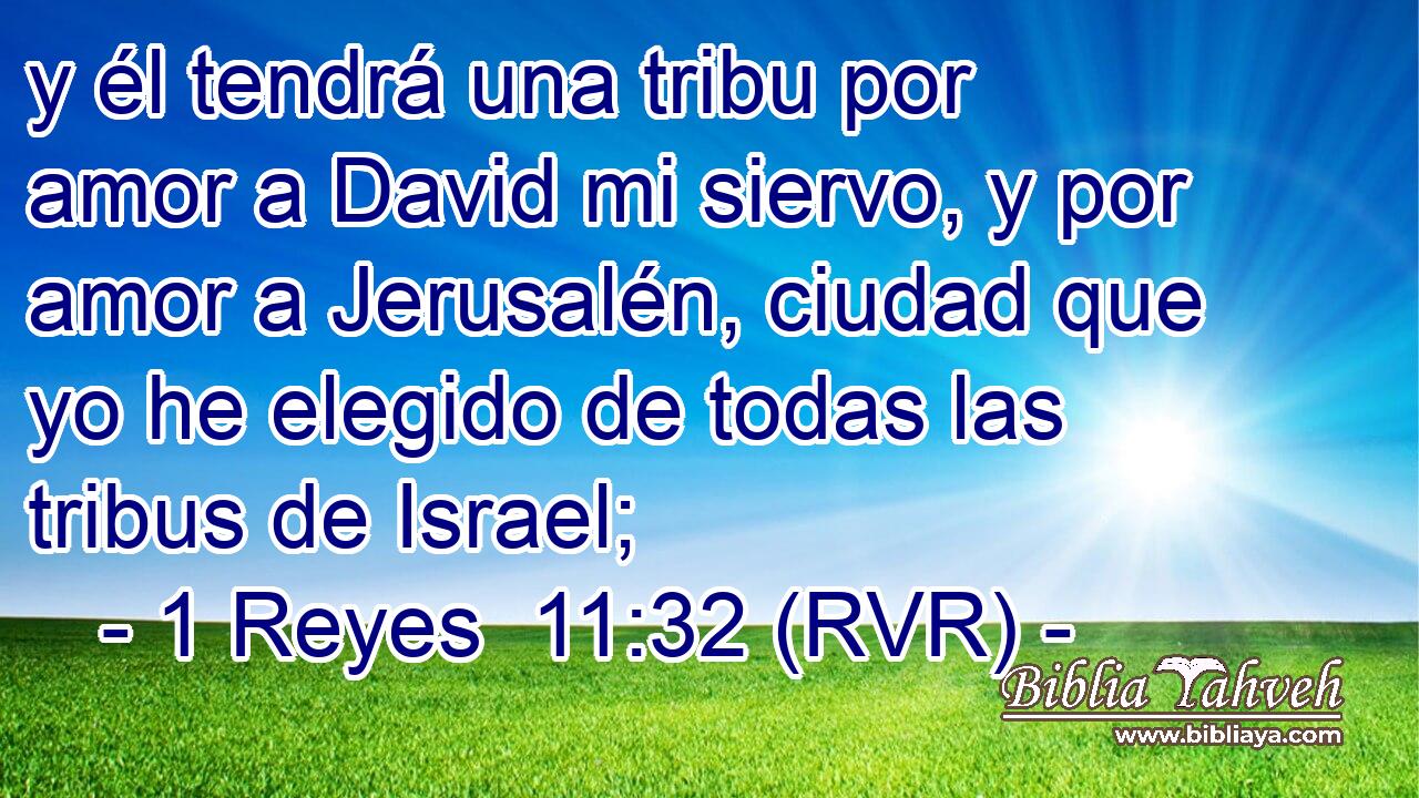 y él tendrá una tribu por amor a David mi siervo, y por amor a Jerusalén, ciudad que yo he elegido de todas las tribus de Israel;