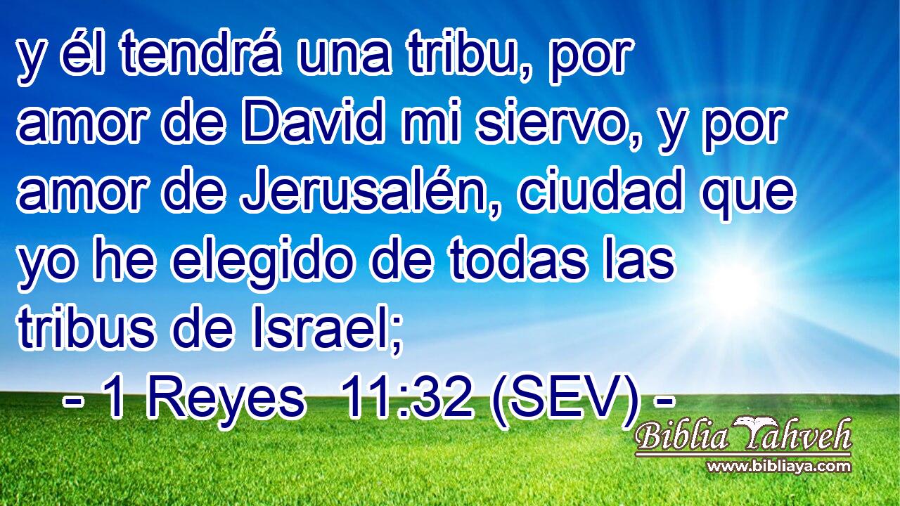 y él tendrá una tribu, por amor de David mi siervo, y por amor de Jerusalén, ciudad que yo he elegido de todas las tribus de Israel;