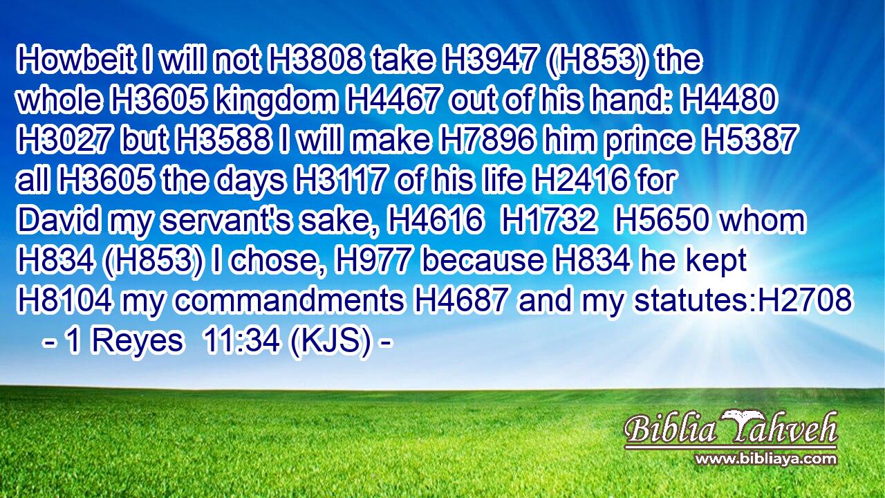Howbeit I will not H3808 take H3947 (H853) the whole H3605 kingdom H4467 out of his hand: H4480  H3027 but H3588 I will make H7896 him prince H5387 all H3605 the days H3117 of his life H2416 for David my servant's sake, H4616  H1732  H5650 whom H834 (H853) I chose, H977 because H834 he kept H8104 my commandments H4687 and my statutes:H2708