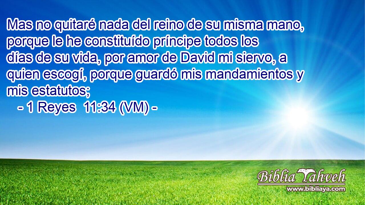  Mas no quitaré nada del reino de su misma mano, porque le he constituído príncipe todos los días de su vida, por amor de David mi siervo, a quien escogí, porque guardó mis mandamientos y mis estatutos; 