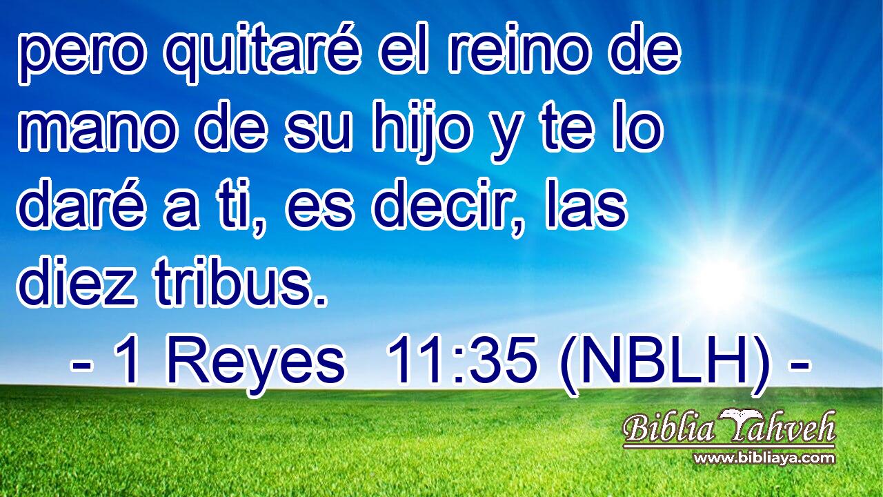  pero quitaré el reino de mano de su hijo y te lo daré a ti, es decir, las diez tribus. 