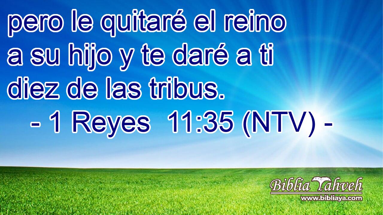 pero le quitaré el reino a su hijo y te daré a ti diez de las tribus.
