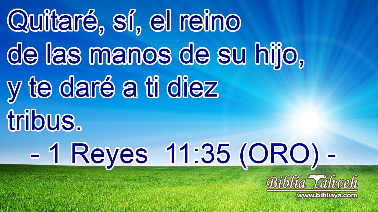  Quitaré, sí, el reino de las manos de su hijo, y te daré a ti diez tribus. 