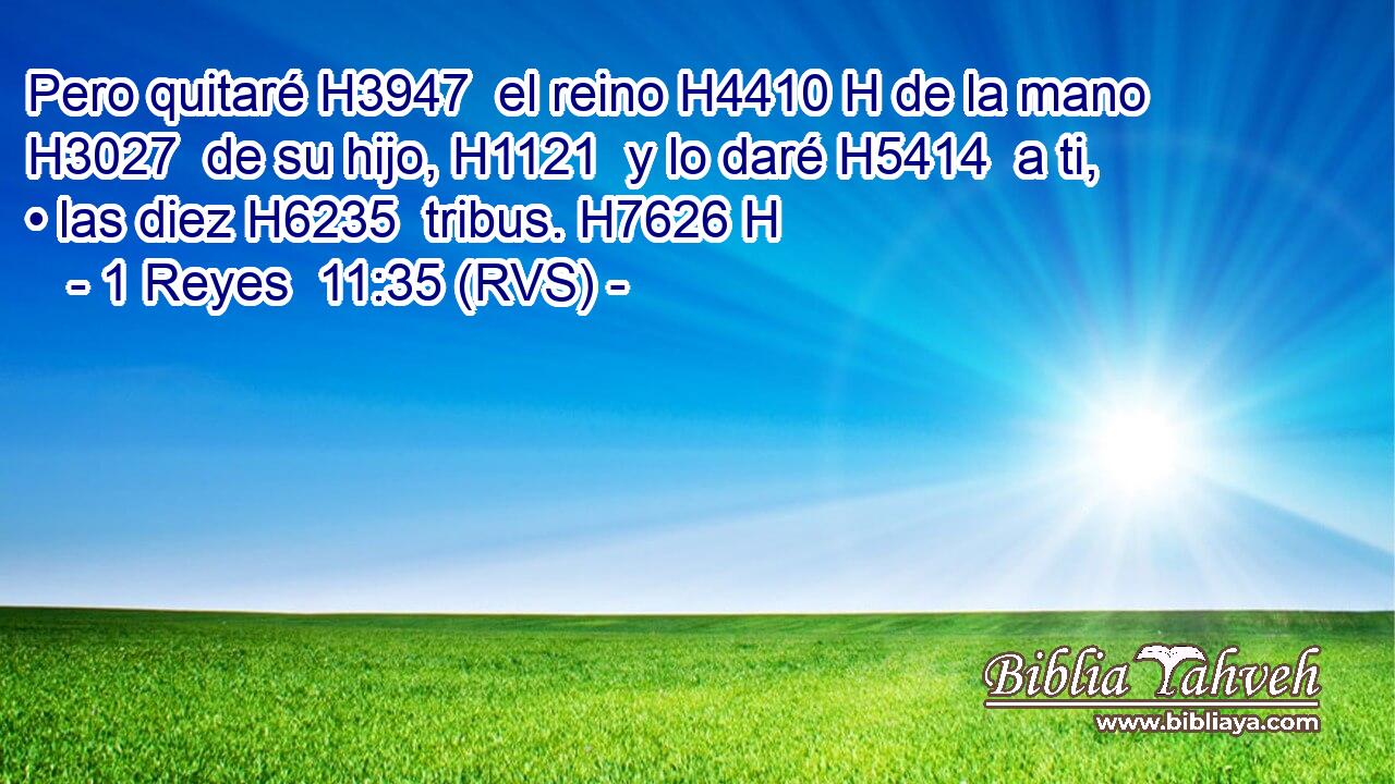 Pero quitaré H3947  el reino H4410 H de la mano H3027  de su hijo, H1121  y lo daré H5414  a ti, • las diez H6235  tribus. H7626 H 