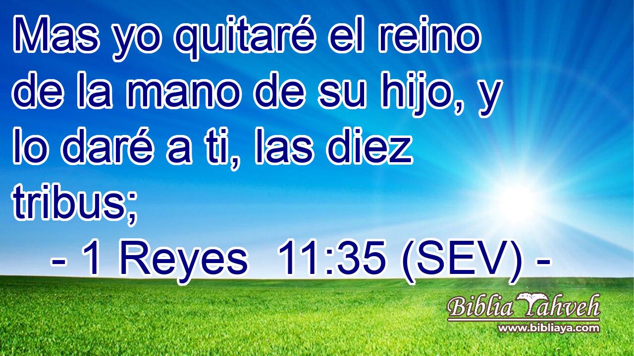 Mas yo quitaré el reino de la mano de su hijo, y lo daré a ti, las diez tribus;