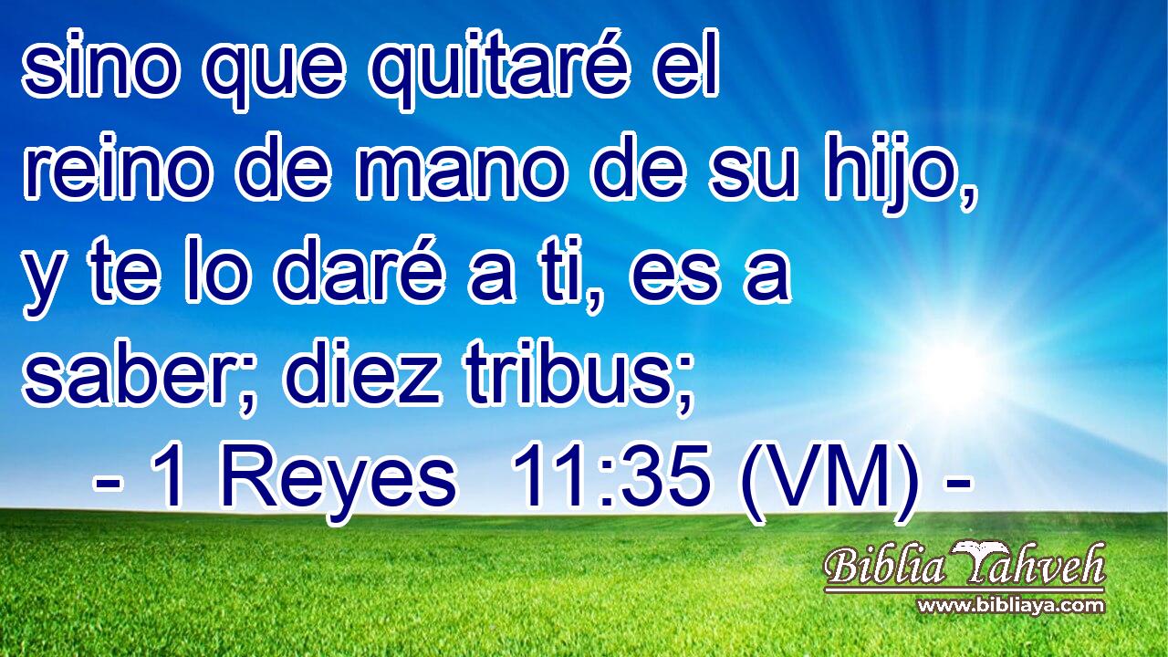  sino que quitaré el reino de mano de su hijo, y te lo daré a ti, es a saber; diez tribus; 