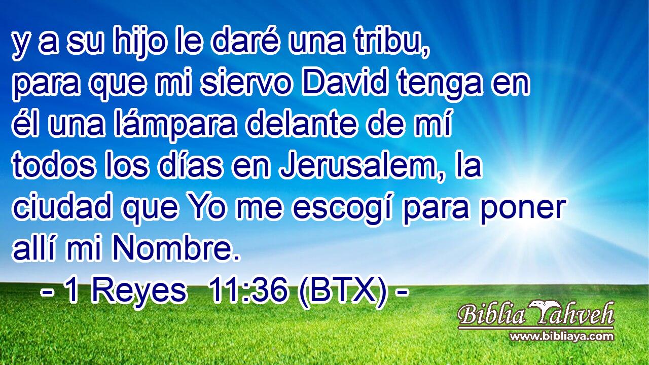 y a su hijo le daré una tribu, para que mi siervo David tenga en él una lámpara delante de mí todos los días en Jerusalem, la ciudad que Yo me escogí para poner allí mi Nombre.
