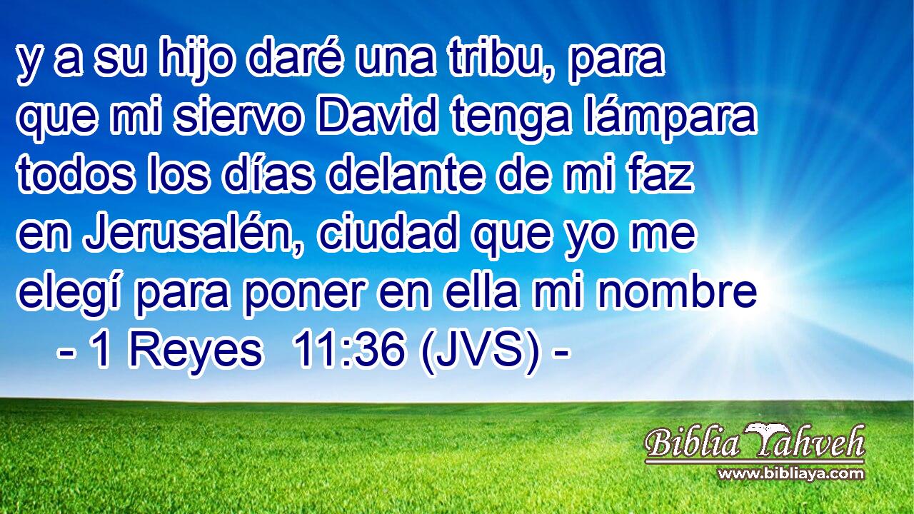 y a su hijo daré una tribu, para que mi siervo David tenga lámpara todos los días delante de mi faz en Jerusalén, ciudad que yo me elegí para poner en ella mi nombre