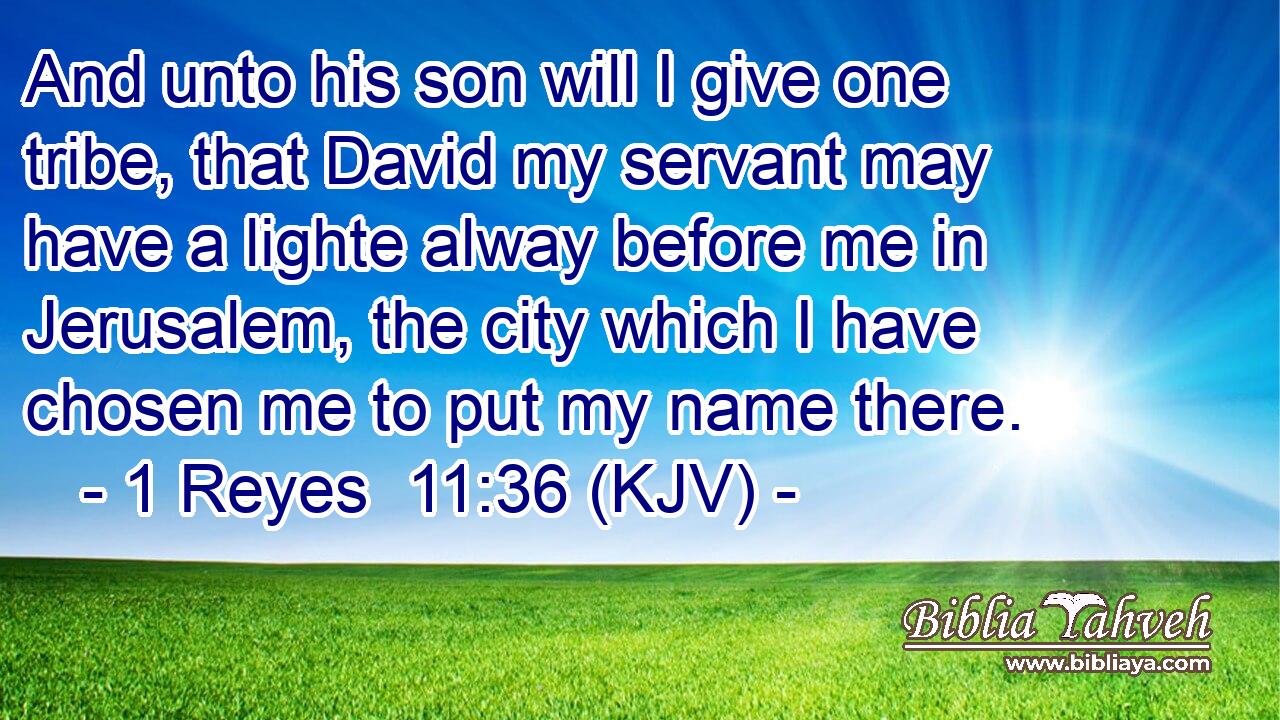 And unto his son will I give one tribe, that David my servant may have a lighte alway before me in Jerusalem, the city which I have chosen me to put my name there.