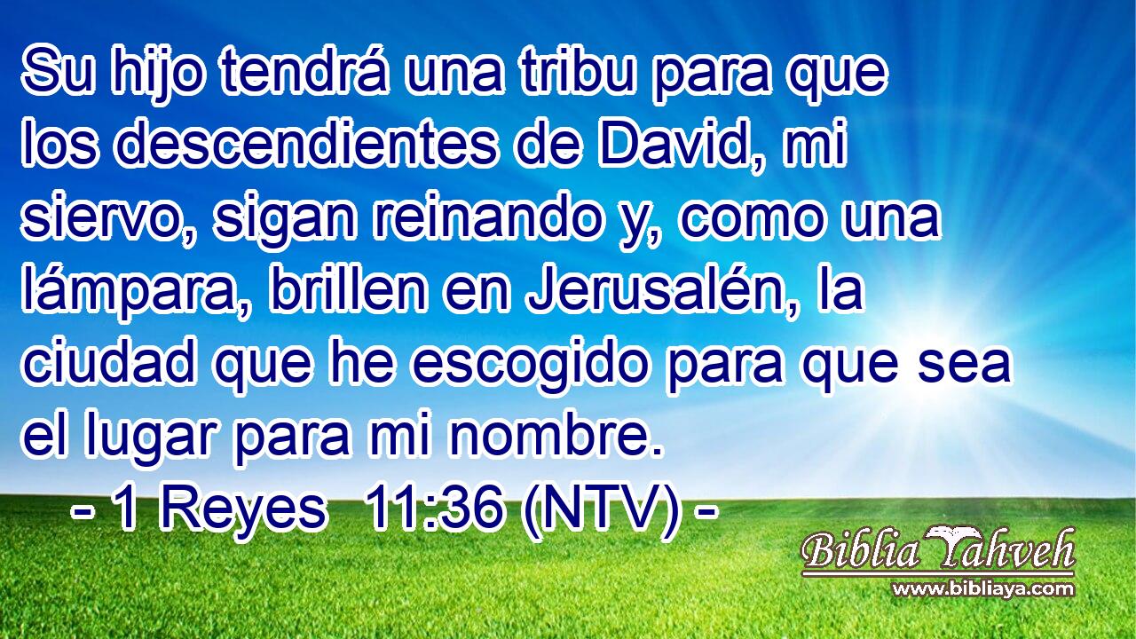 Su hijo tendrá una tribu para que los descendientes de David, mi siervo, sigan reinando y, como una lámpara, brillen en Jerusalén, la ciudad que he escogido para que sea el lugar para mi nombre.