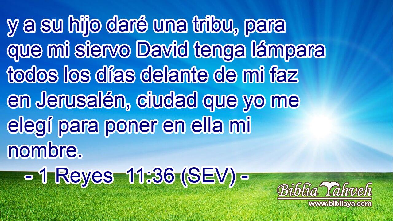 y a su hijo daré una tribu, para que mi siervo David tenga lámpara todos los días delante de mi faz en Jerusalén, ciudad que yo me elegí para poner en ella mi nombre.
