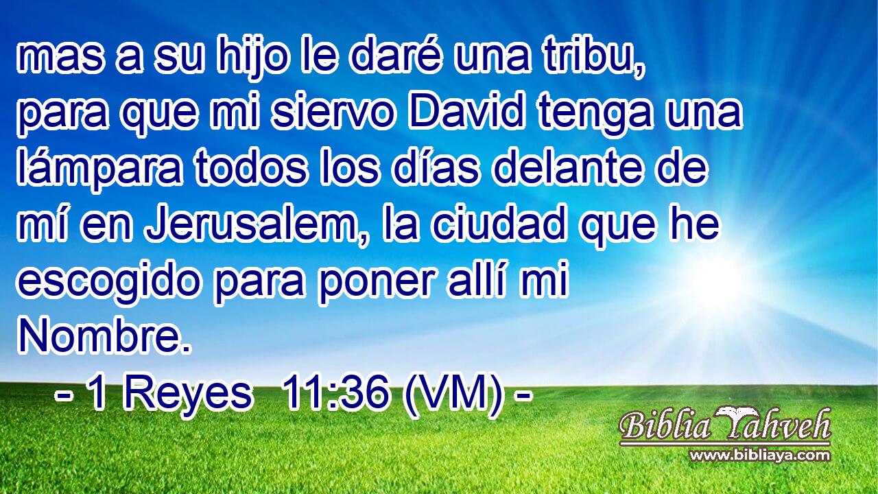  mas a su hijo le daré una tribu, para que mi siervo David tenga una lámpara todos los días delante de mí en Jerusalem, la ciudad que he escogido para poner allí mi Nombre. 