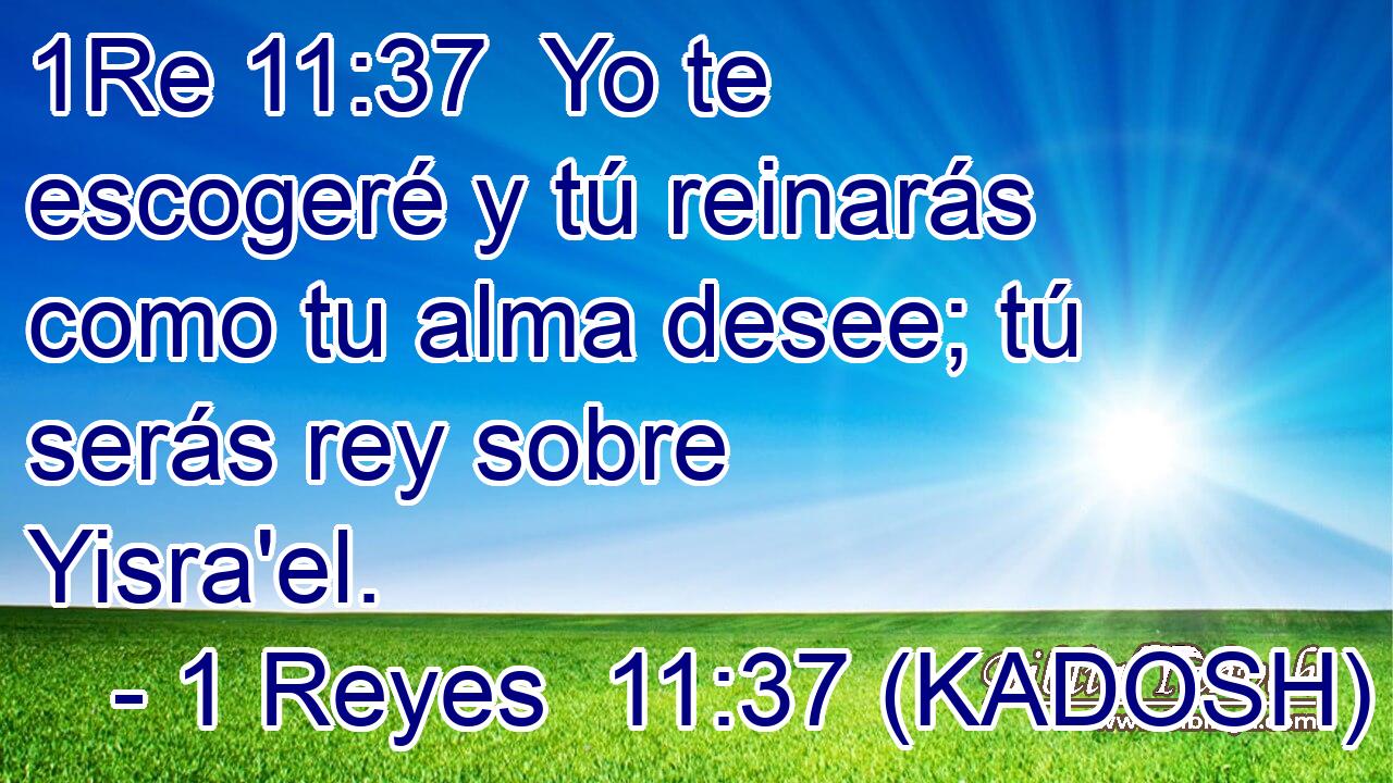  Yo te escogeré y tú reinarás como tu alma desee; tú serás rey sobre Yisra'el. 