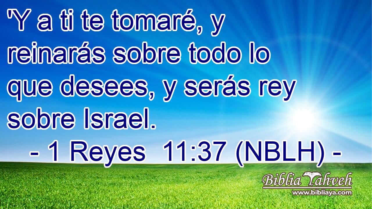  'Y a ti te tomaré, y reinarás sobre todo lo que desees, y serás rey sobre Israel. 