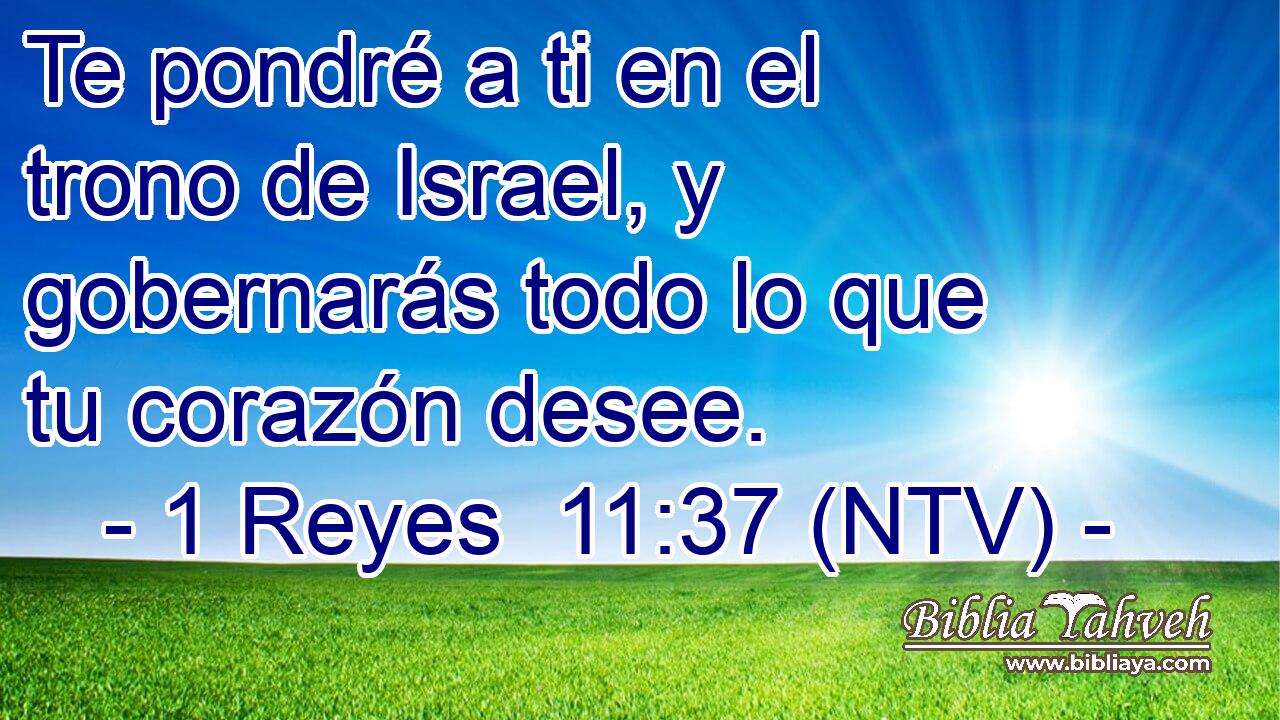 Te pondré a ti en el trono de Israel, y gobernarás todo lo que tu corazón desee.