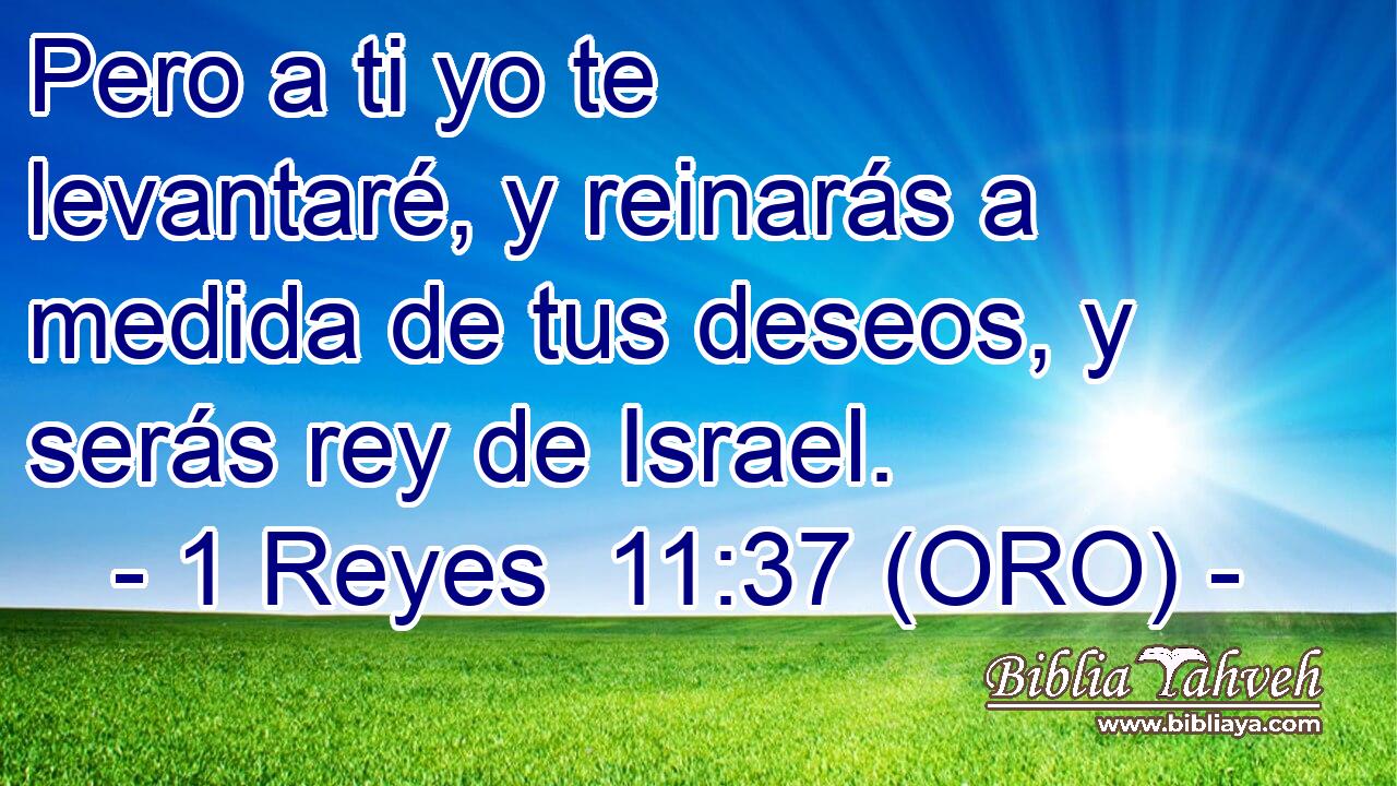  Pero a ti yo te levantaré, y reinarás a medida de tus deseos, y serás rey de Israel. 