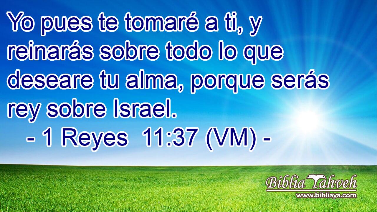  Yo pues te tomaré a ti, y reinarás sobre todo lo que deseare tu alma, porque serás rey sobre Israel. 