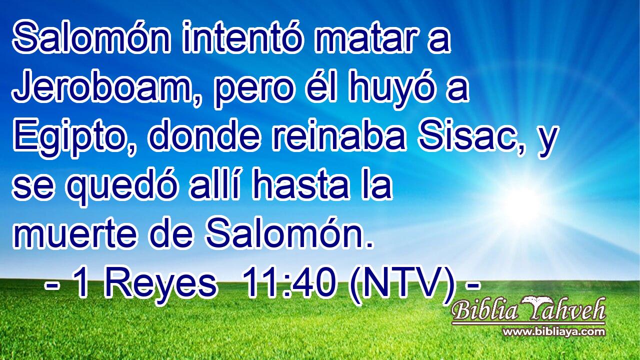 Salomón intentó matar a Jeroboam, pero él huyó a Egipto, donde reinaba Sisac, y se quedó allí hasta la muerte de Salomón.