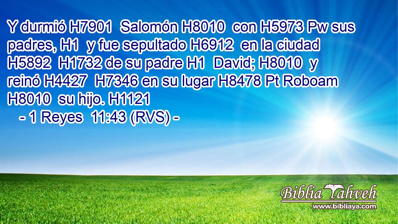 Y durmió H7901  Salomón H8010  con H5973 Pw sus padres, H1  y fue sepultado H6912  en la ciudad H5892  H1732 de su padre H1  David; H8010  y reinó H4427  H7346 en su lugar H8478 Pt Roboam H8010  su hijo. H1121  