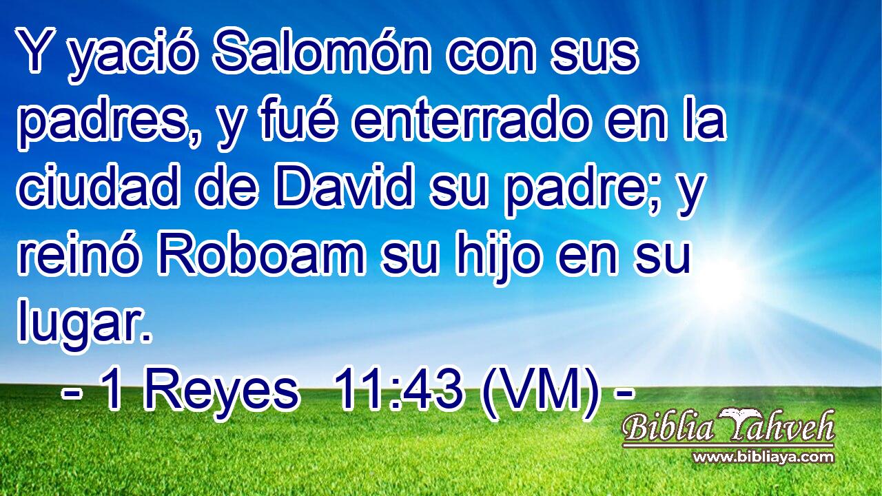  Y yació Salomón con sus padres, y fué enterrado en la ciudad de David su padre; y reinó Roboam su hijo en su lugar. 