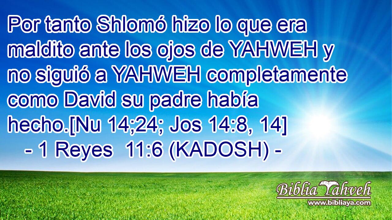  Por tanto Shlomó hizo lo que era maldito ante los ojos de YAHWEH y no siguió a YAHWEH completamente como David su padre había hecho.[Nu 14;24; Jos 14:8, 14] 