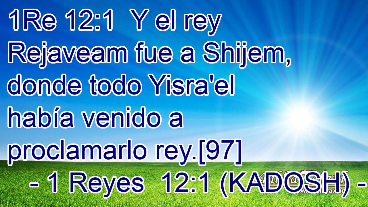  Y el rey Rejaveam fue a Shijem, donde todo Yisra'el había venido a proclamarlo rey.[97] 